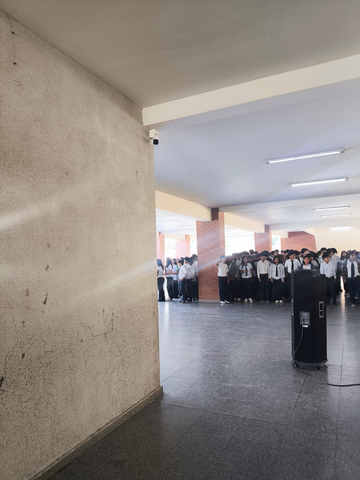 CAMARAS DE SEGURIDAD UE PRIMAVERA 2 (4)